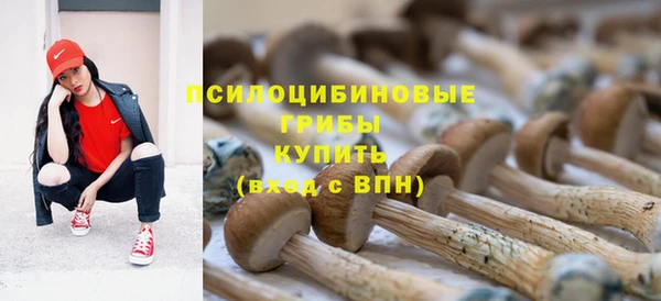 скорость Аркадак