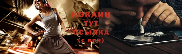 сатива Армянск