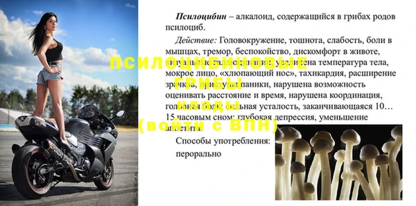 сатива Армянск