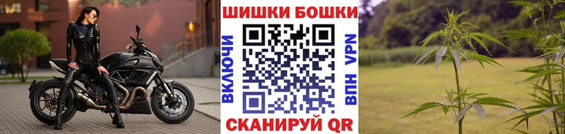 Конопля сатива  Туринск 